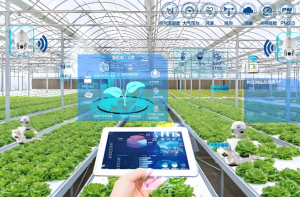 AI物联网AIoT 是未来十年确定性最强的赛道